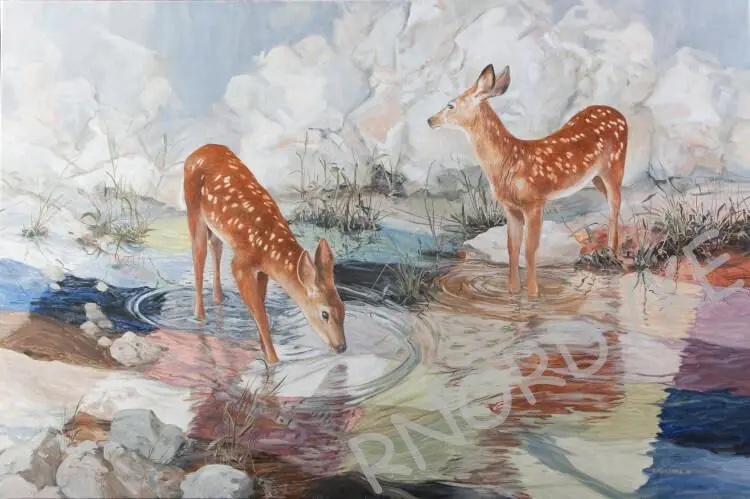 Double Take Deer artwork for Past Exhibitions