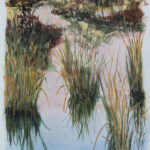 No Koi Lodgepole Creek