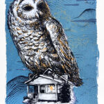 Owl in the House