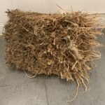 Root Bale